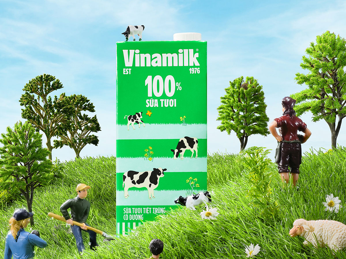 Dairy product vinamilk healthy cow happy